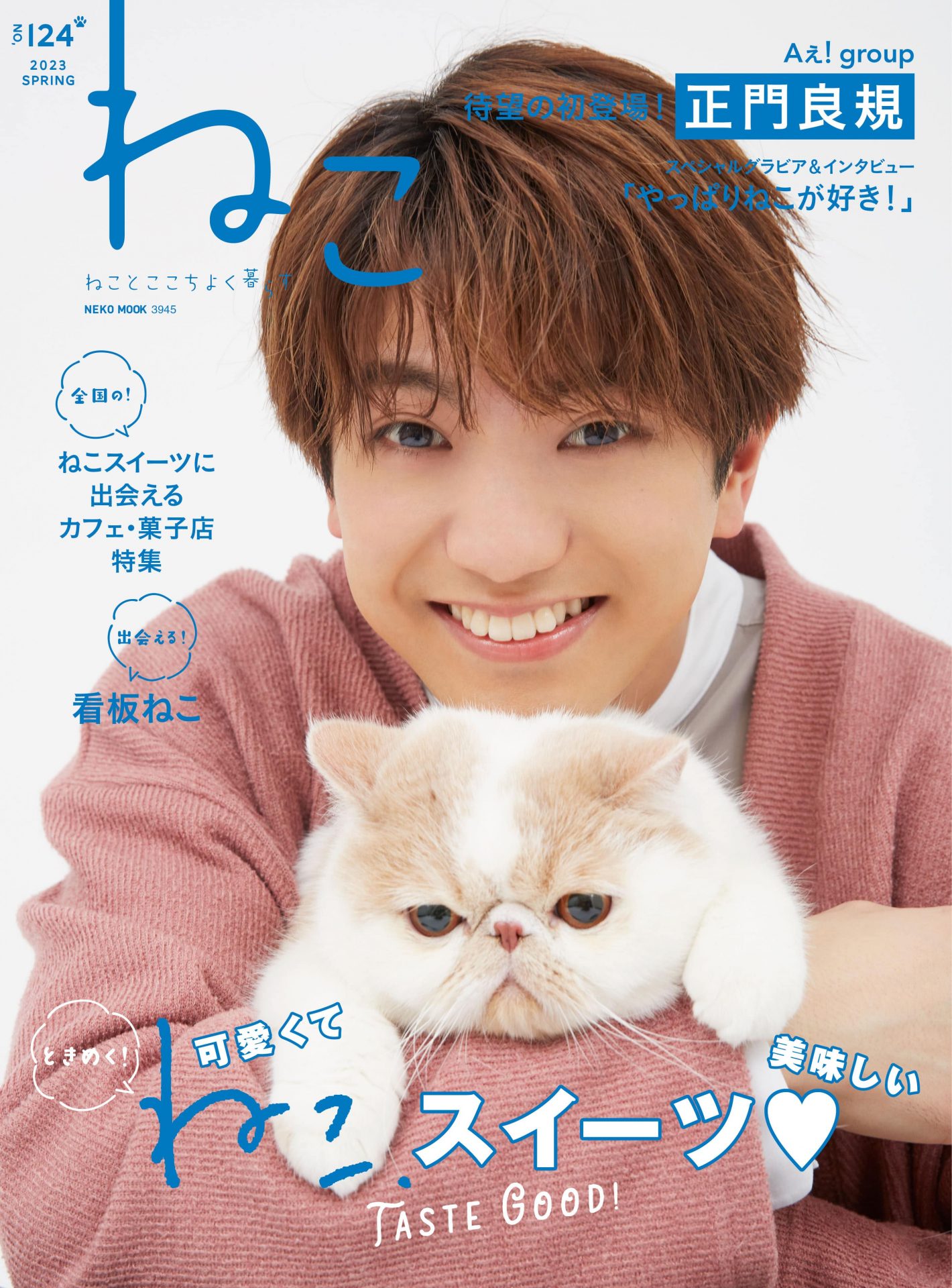 人気ブランドの Ｅ ＭＡＧＡＺＩＮＥ Ｖｏｌ．０２ ＥＶ購入計画 ＮＥＫＯ ＭＯＯＫ ネコ パブリッシング